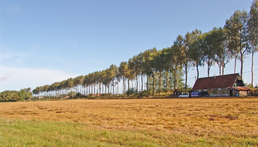 foto omgeving